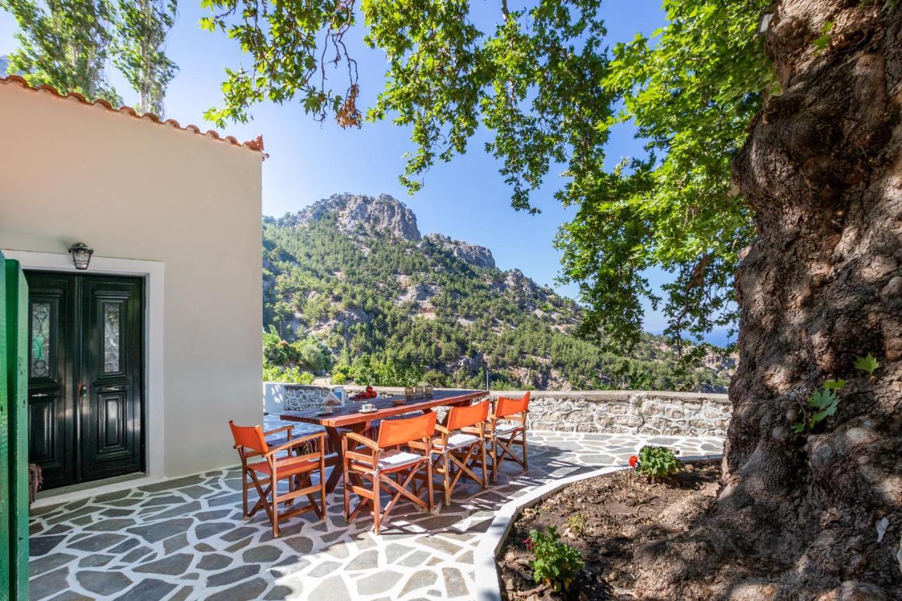 Gospodarstwo wiejskie Mertonas Kyra Panagia