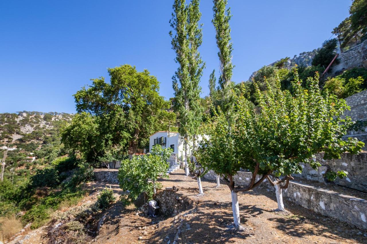 Gospodarstwo wiejskie Mertonas Kyra Panagia